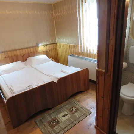 Plutitor Carpatia St. Constantin